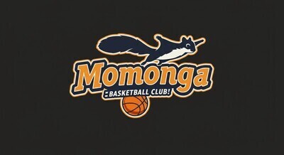 ギャラリー｜Momongaバスケットボールクラブ
