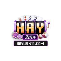 ギャラリー｜HAYWIN 11COM