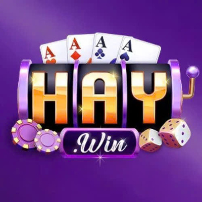 ギャラリー｜Haywin