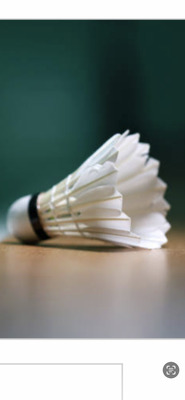 ギャラリー｜素人ゆるゆるバドミントン