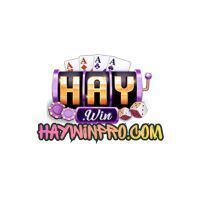 ギャラリー｜haywinprocom