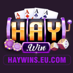 ギャラリー｜haywinseucom