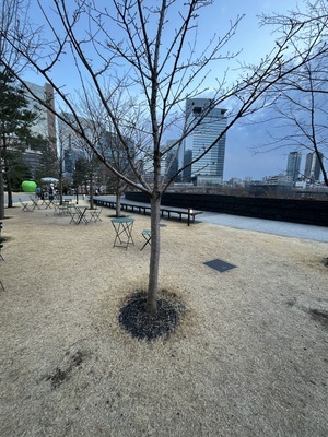 ギャラリー｜大阪 お絵描き集まり