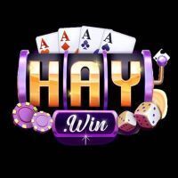 ギャラリー｜Cổng Game Haywin