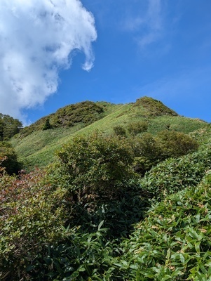 ギャラリー｜媛山会