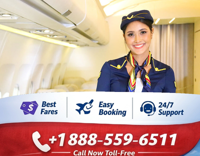 ギャラリー｜American Airlines Phone Number