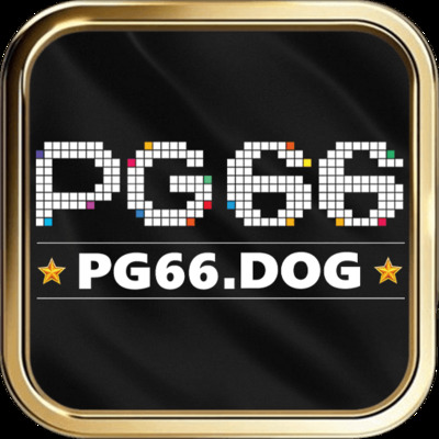 ギャラリー｜pg66dog