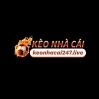 ギャラリー｜keonhacai 247live