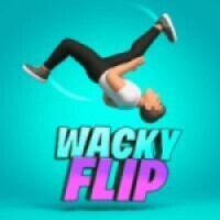 ギャラリー｜wacky flip
