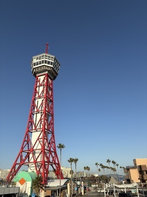 ギャラリー｜ビーチくらぶ⛱️ココナッツ部🥥