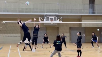 ギャラリー｜freesia