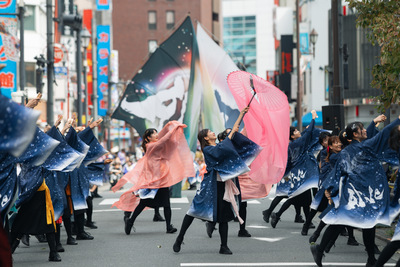 ギャラリー｜Alive