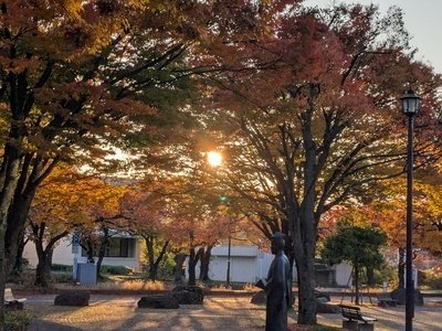 ギャラリー｜Nフォト