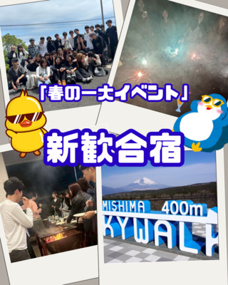 ギャラリー｜早慶東一工　インカレ旅行サークル　Prestige
