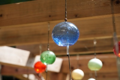 ギャラリー｜あるカメ(あるくカメラサークル)