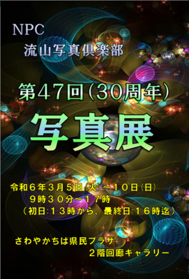 ギャラリー｜NPC流山写真倶楽部