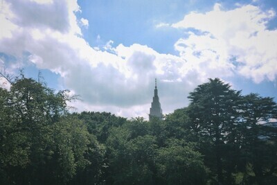 ギャラリー｜内向的　散歩写真サークル　(20代)