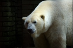 ギャラリー｜amandabg 