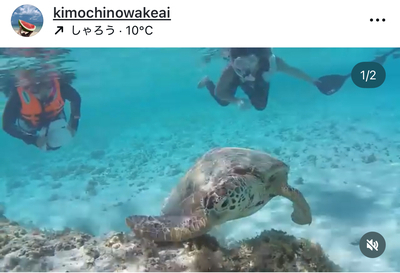 ギャラリー｜🏝️禁煙者限定Okinawa満喫🏝️