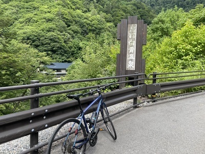 ギャラリー｜Umbrella