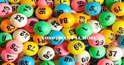 ギャラリー｜sineka