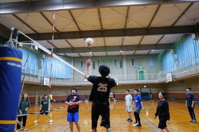 ギャラリー｜エンジョイバレー