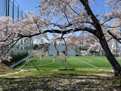 ギャラリー｜joyfut(ジョイフット)