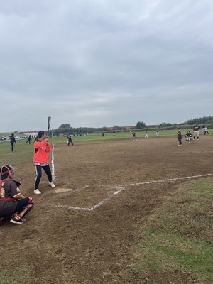 ギャラリー｜スペリオル