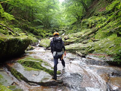 ギャラリー｜チームさわねこ