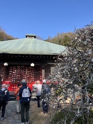 ギャラリー｜箱根山悠歩会