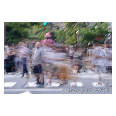 ギャラリー｜NO POSE