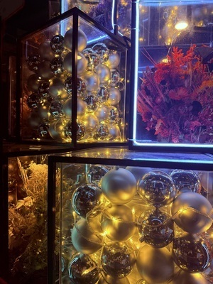 ギャラリー｜ゆるフォト散歩(散歩×写真)