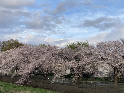 ギャラリー｜東村山バスケット団