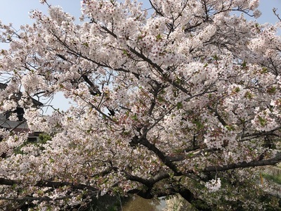 ギャラリー｜和歌山県紀南・紀中・紀北の人🖐️20代🍊30代