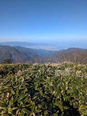 ギャラリー｜媛山会