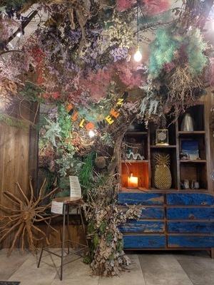 ギャラリー｜ビーチくらぶ⛱️ココナッツ部🥥