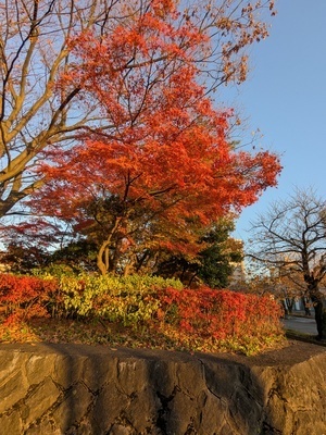 ギャラリー｜Nフォト