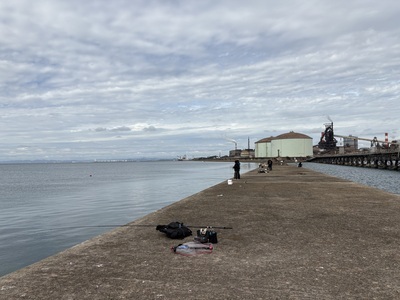 ギャラリー｜関西兵庫釣り会　初心者歓迎