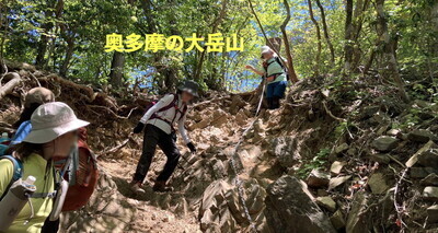 ギャラリー｜東京トレッキングクラブ