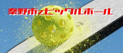 ギャラリー｜GIRASOL@ピックルボール