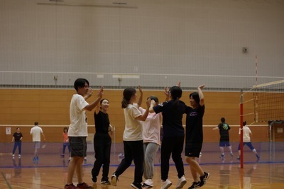 ギャラリー｜volleyball オレンジ