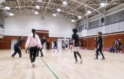 ギャラリー｜港区中心男女混合バレーボール社会人サークル