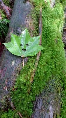 ギャラリー｜アウトドアtida