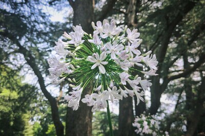 ギャラリー｜内向的　散歩写真サークル　(20代)