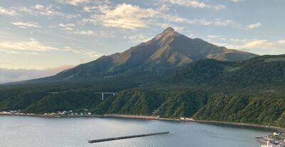 ギャラリー｜かわせみ山楽会