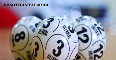 ギャラリー｜sineka