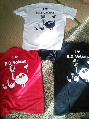 ギャラリー｜【渋谷・目黒区】Volano：1/31　2/1　8　22　22練習あり！