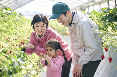 ギャラリー｜家庭菜園友の会