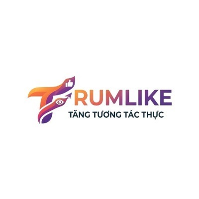 ギャラリー｜Trumlikecomvn