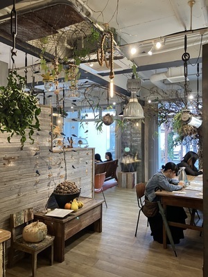 ギャラリー｜ビーチくらぶ⛱️ココナッツ部🥥